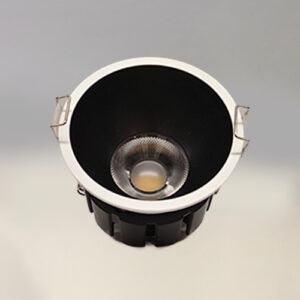 LS-IP-24